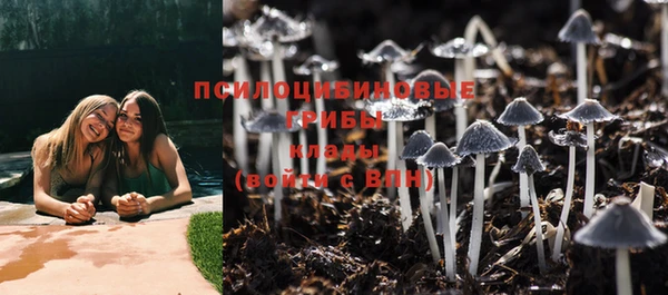 мяу мяу мука Абинск