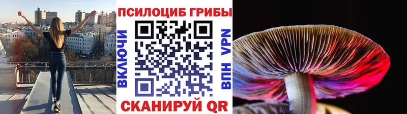 Псилоцибиновые грибы ЛСД  Юрюзань 
